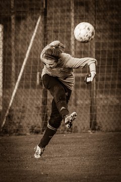 Bild 4113 - Frauen SV Henstedt Ulzburg - TSV Havelse : Ergebnis: 1:1